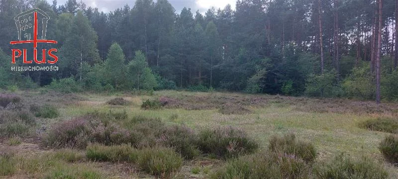 Obiekt 704,00 m², oferta nr , LS02485, Domatówko