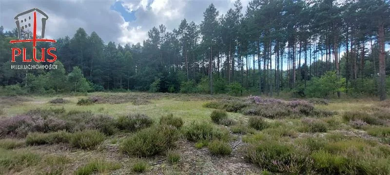 Obiekt 704,00 m², oferta nr , LS02485, Domatówko
