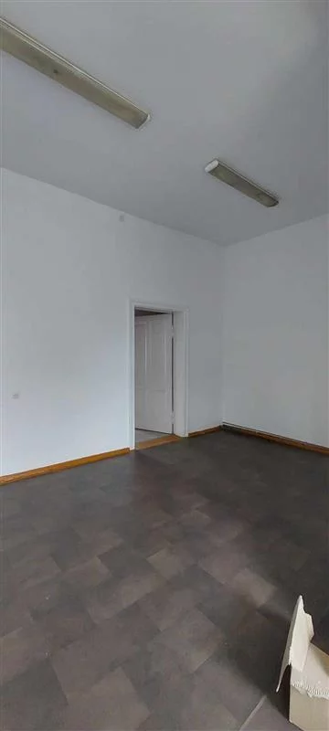 2438 - zdjęcie nr 3