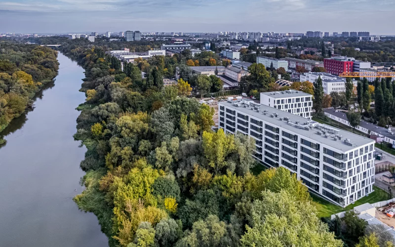 Mieszkanie przy lesie - jakie są wady i zalety?