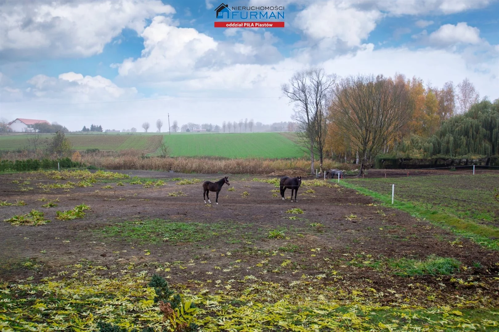 Dom 100,59 m², oferta nr , FRP-DS-197666, Łobżenica