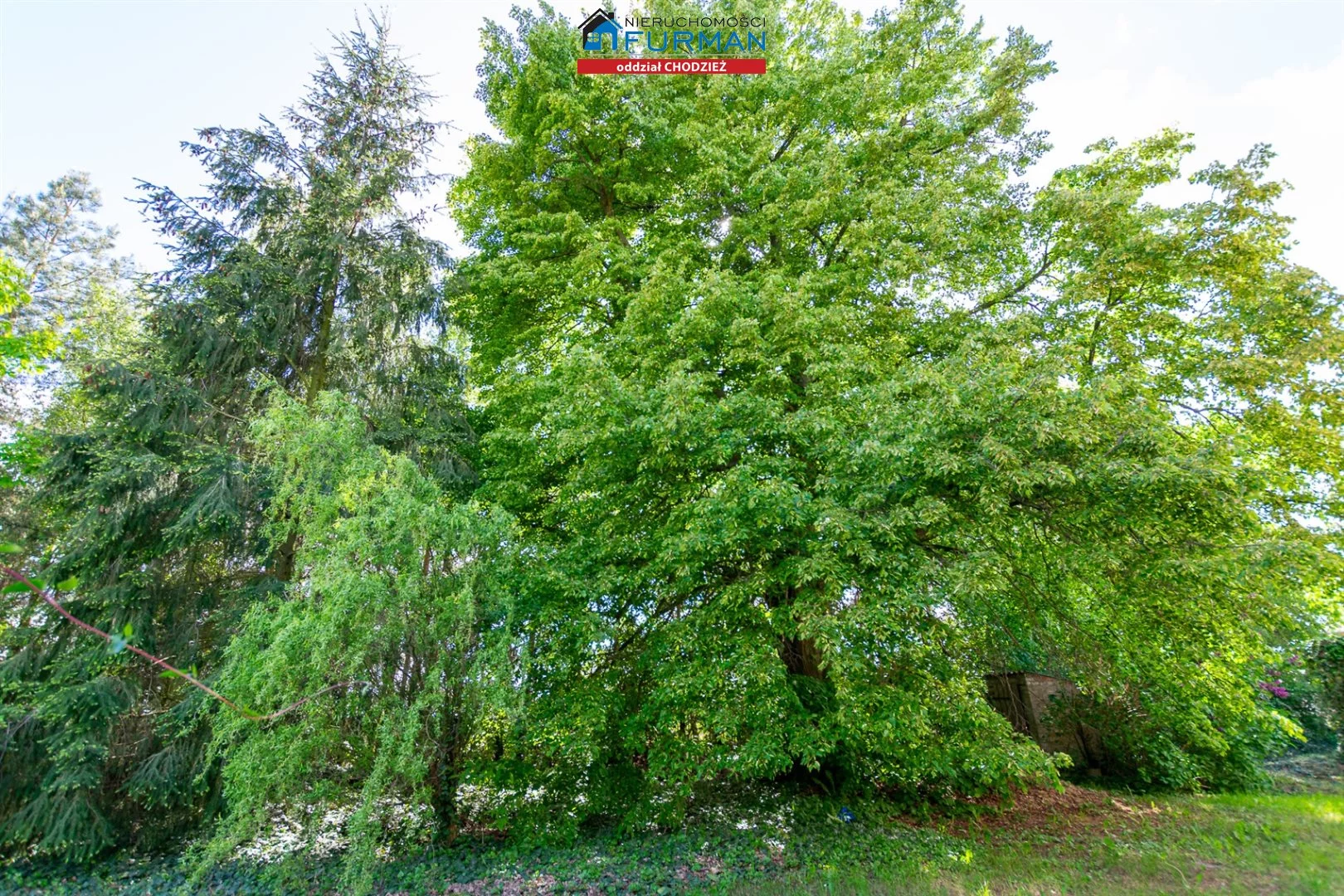 Dom 142,24 m², oferta nr , FRC-DS-198243, Ryczywół