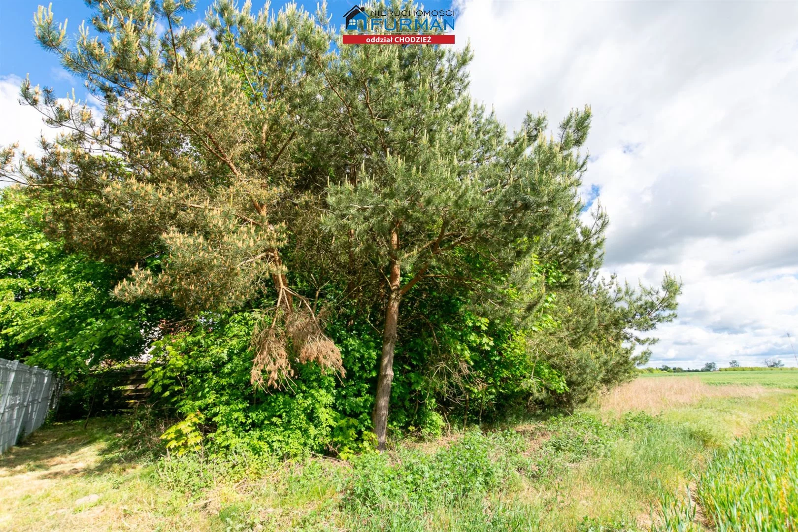 Dom 142,24 m², oferta nr , FRC-DS-198243, Ryczywół