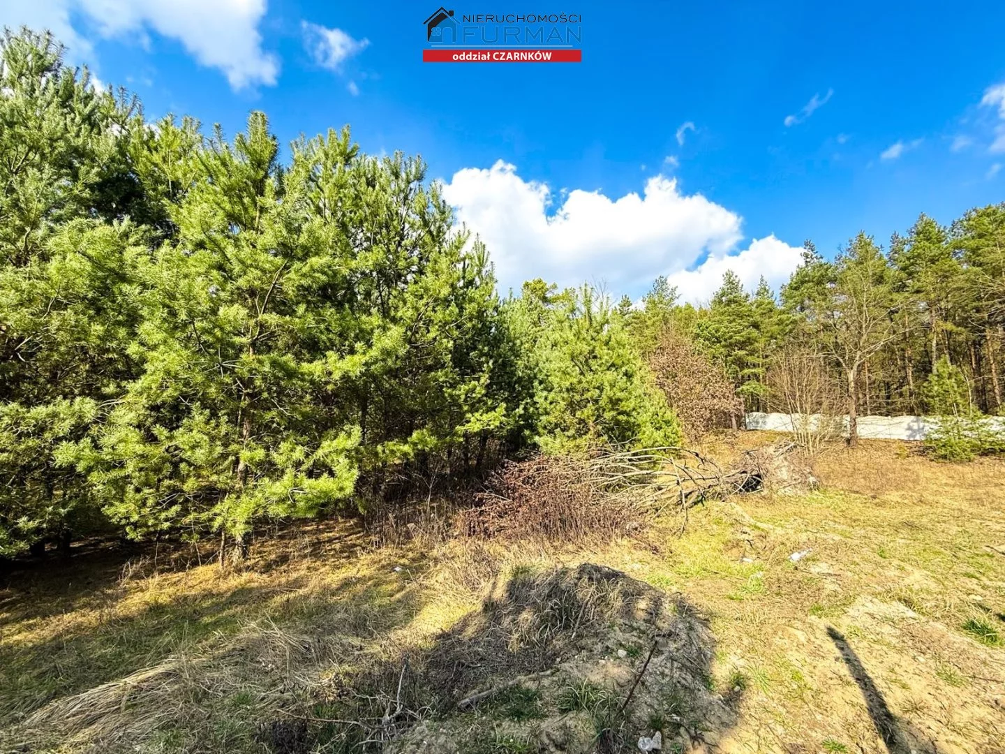 Dom 80,00 m², oferta nr , FCZ-DS-198079, Trzcianka