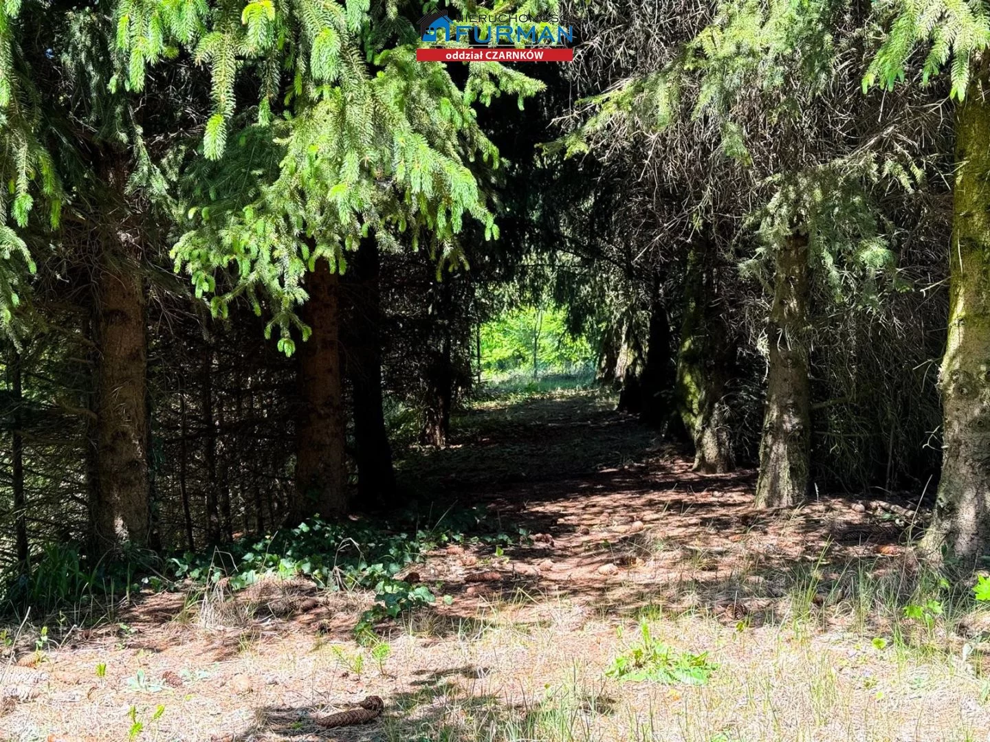 Dom 210,00 m², oferta nr , FCZ-DS-198233, Wieleń