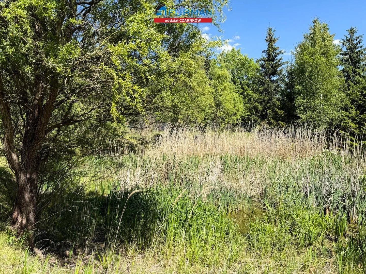 Dom 210,00 m², oferta nr , FCZ-DS-198233, Wieleń