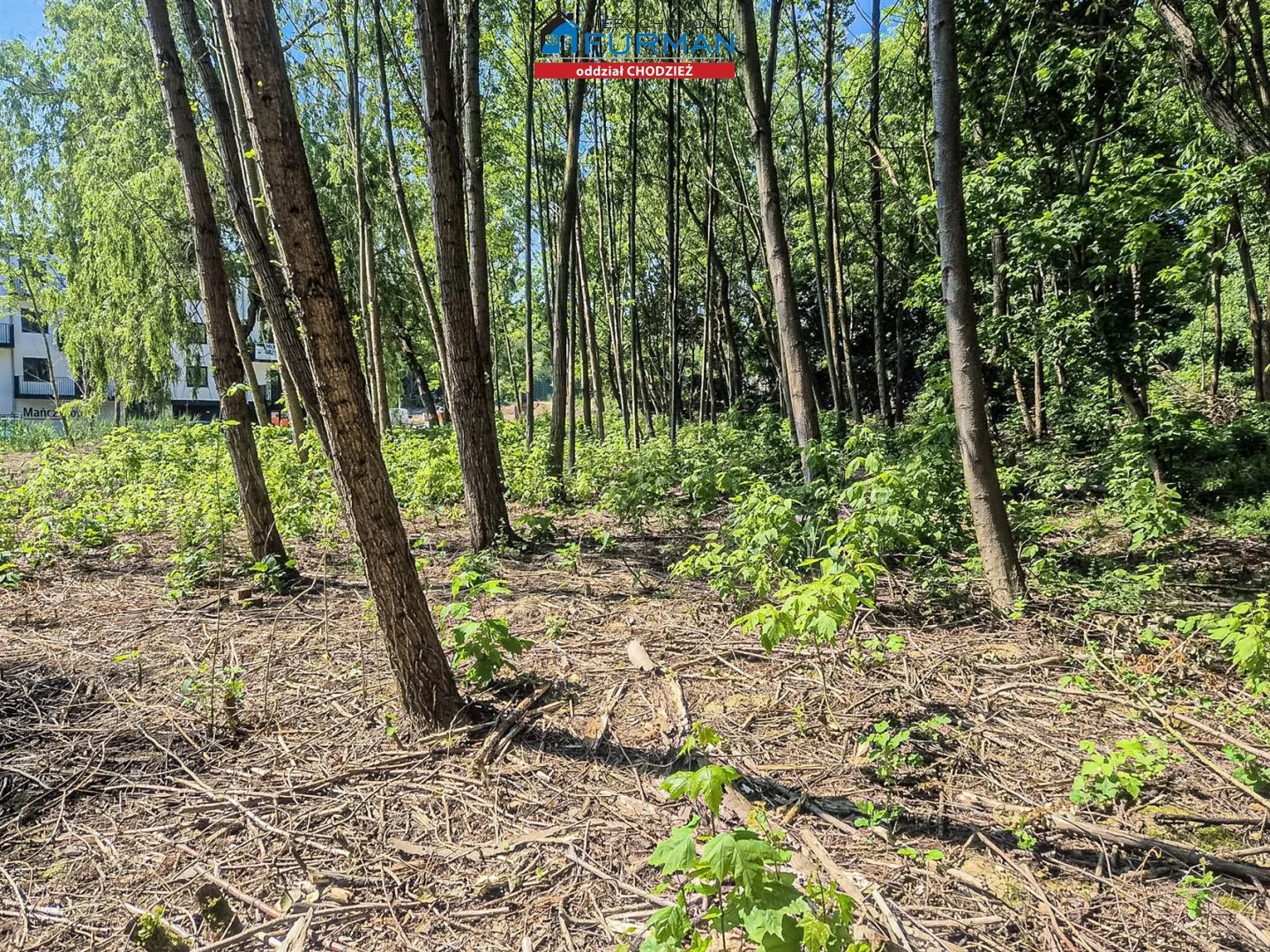 Działka 6 584,00 m², oferta nr , FRC-GS-196660, Chodzież