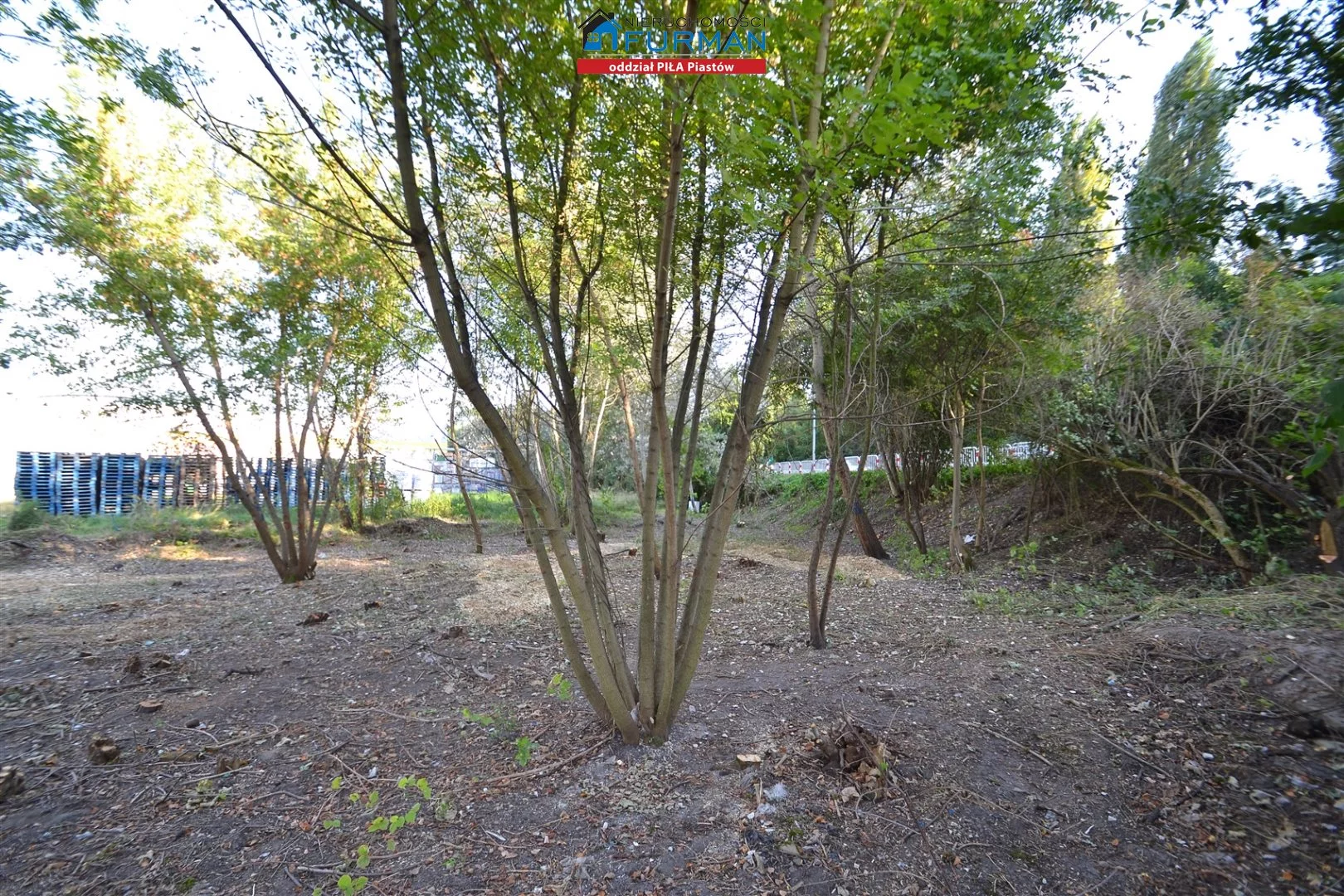 Działka 1 220,00 m², oferta nr , FRP-GS-197387, Chodzież