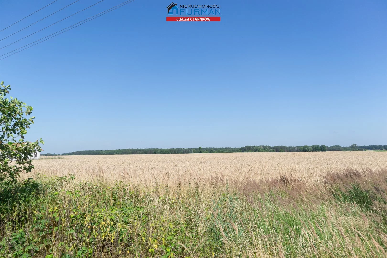 Działka 5 009,00 m², oferta nr , FCZ-GS-193883-4, Czarnków