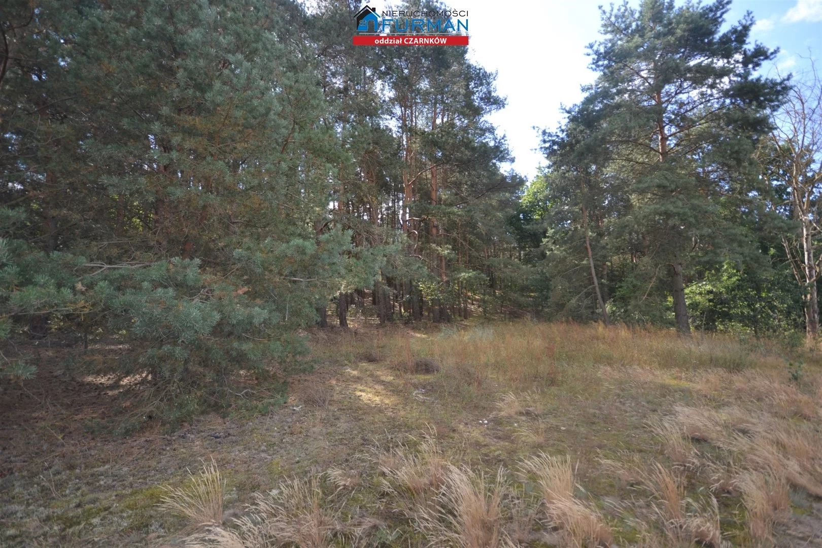 Działka 34 097,00 m², oferta nr , FCZ-GS-197875-3, Czarnków