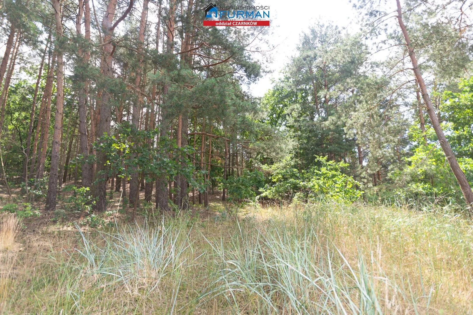 Działka 34 097,00 m², oferta nr , FCZ-GS-197875-3, Czarnków