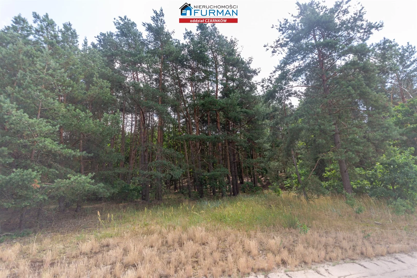 Działka 34 097,00 m², oferta nr , FCZ-GS-197875-3, Czarnków