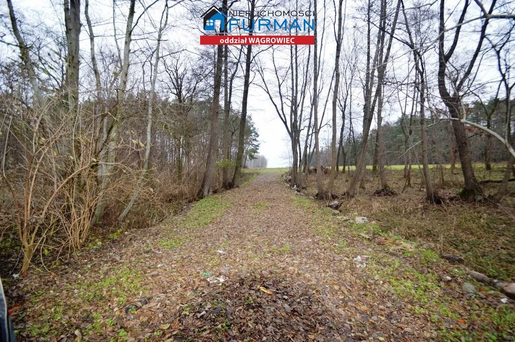 Działka 66 300,00 m², oferta nr , FWR-GS-196573, Gołańcz
