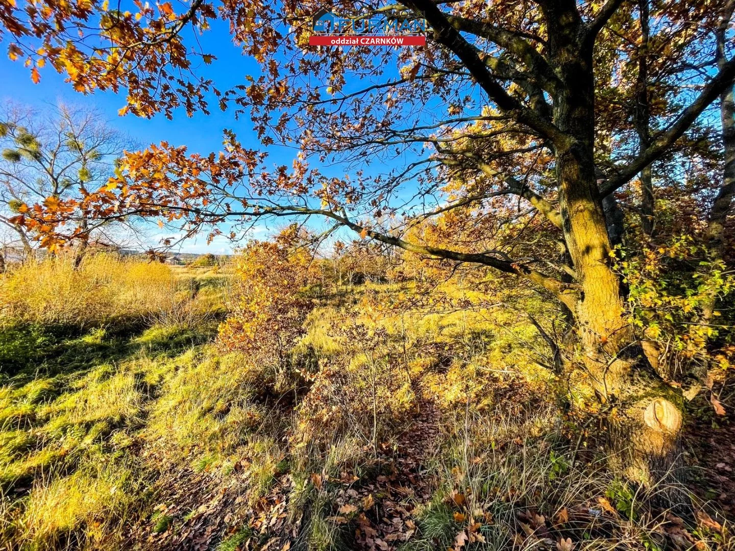 Działka 26 637,00 m², oferta nr , FCZ-GS-196467, Krzyż Wielkopolski