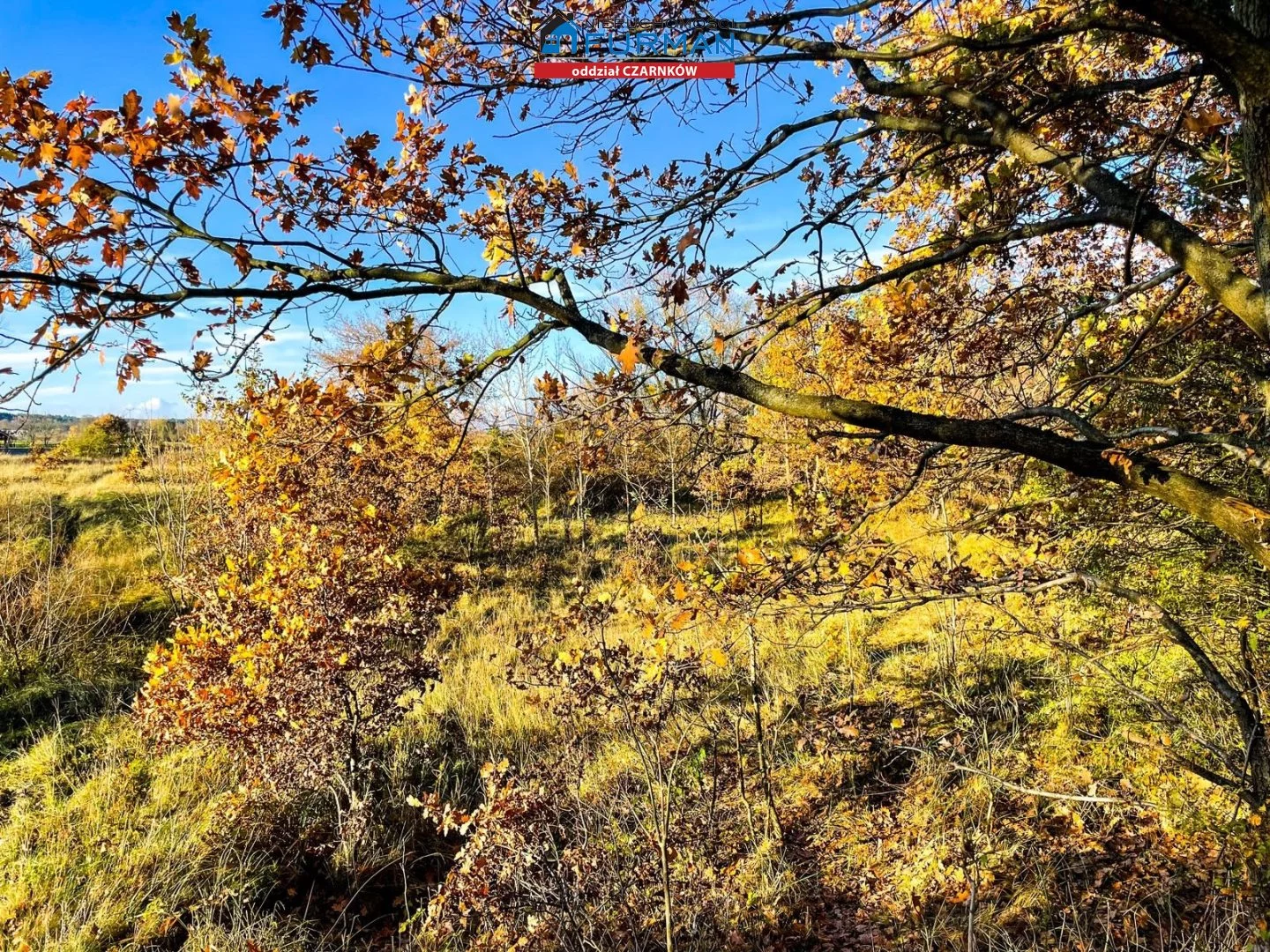 Działka 26 637,00 m², oferta nr , FCZ-GS-196467, Krzyż Wielkopolski