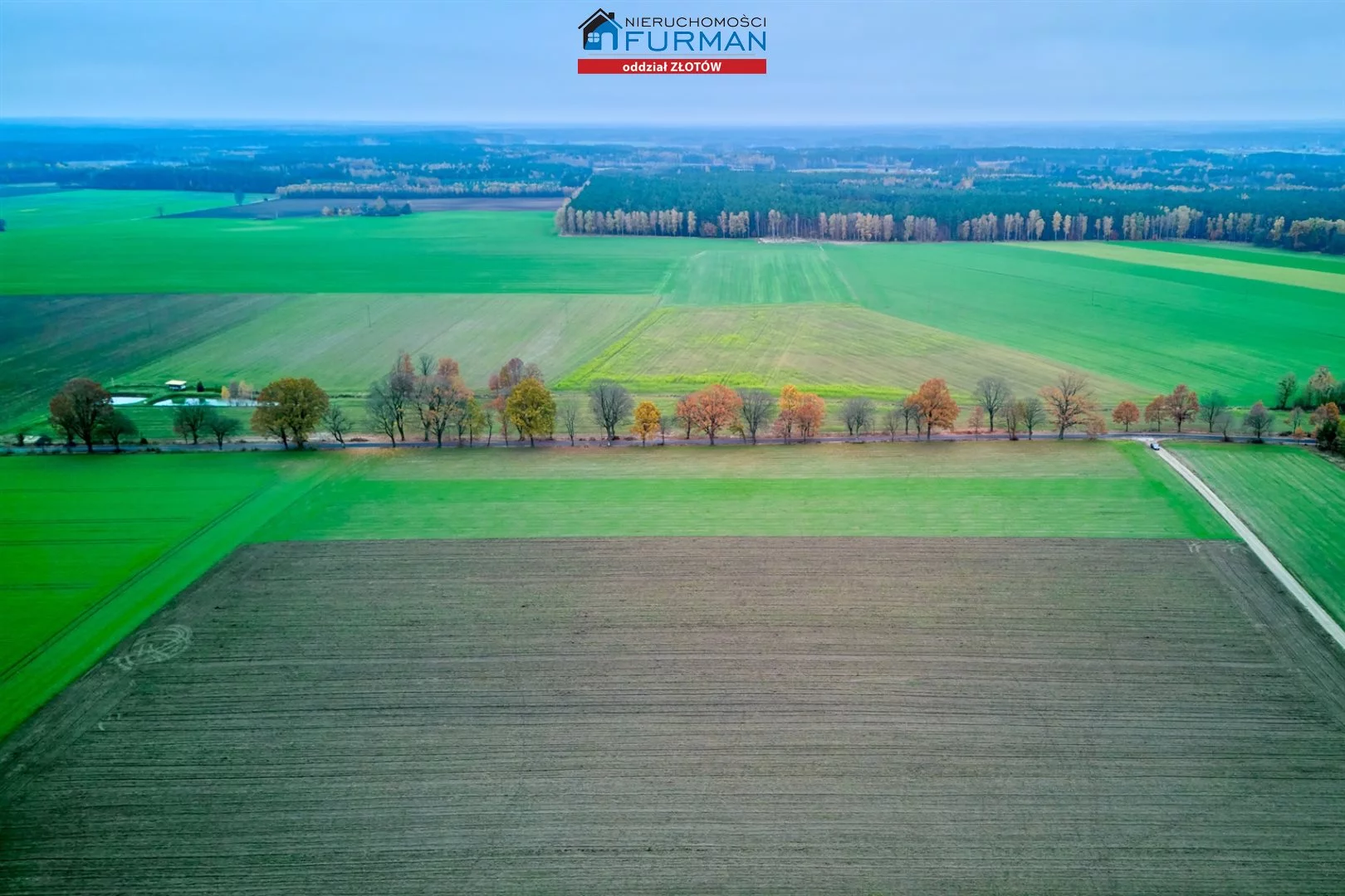 Działka 1 077,00 m², oferta nr , FZL-GS-197682, Lipka