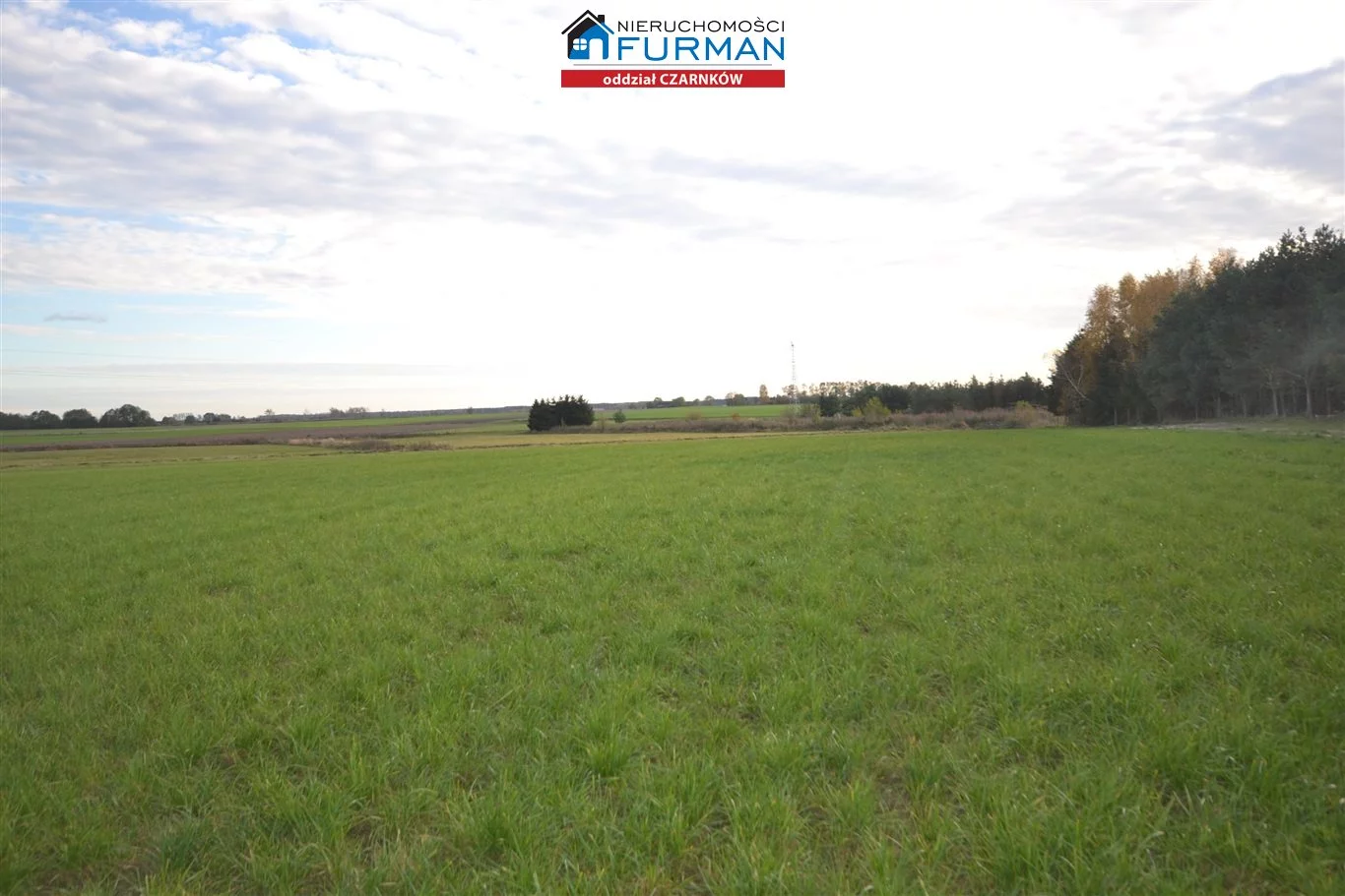 Działka 33 856,00 m², oferta nr , FCZ-GS-192955, Lubasz