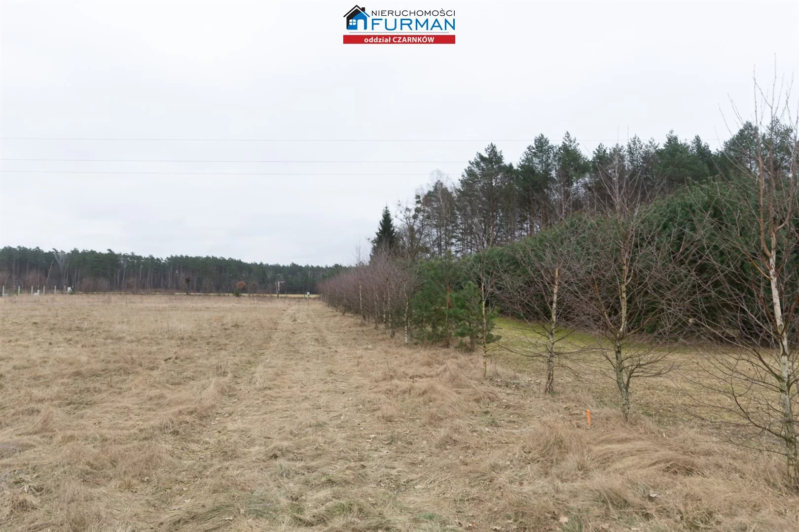 Działka 2 933,00 m², oferta nr , FCZ-GS-195157, Lubasz