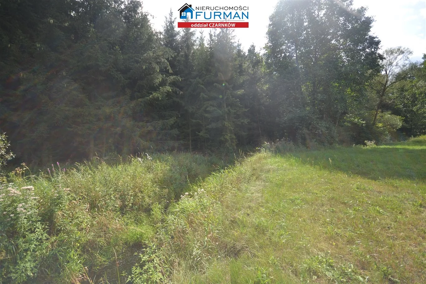 Działka 15 490,00 m², oferta nr , FCZ-GS-192707-2, Lubasz
