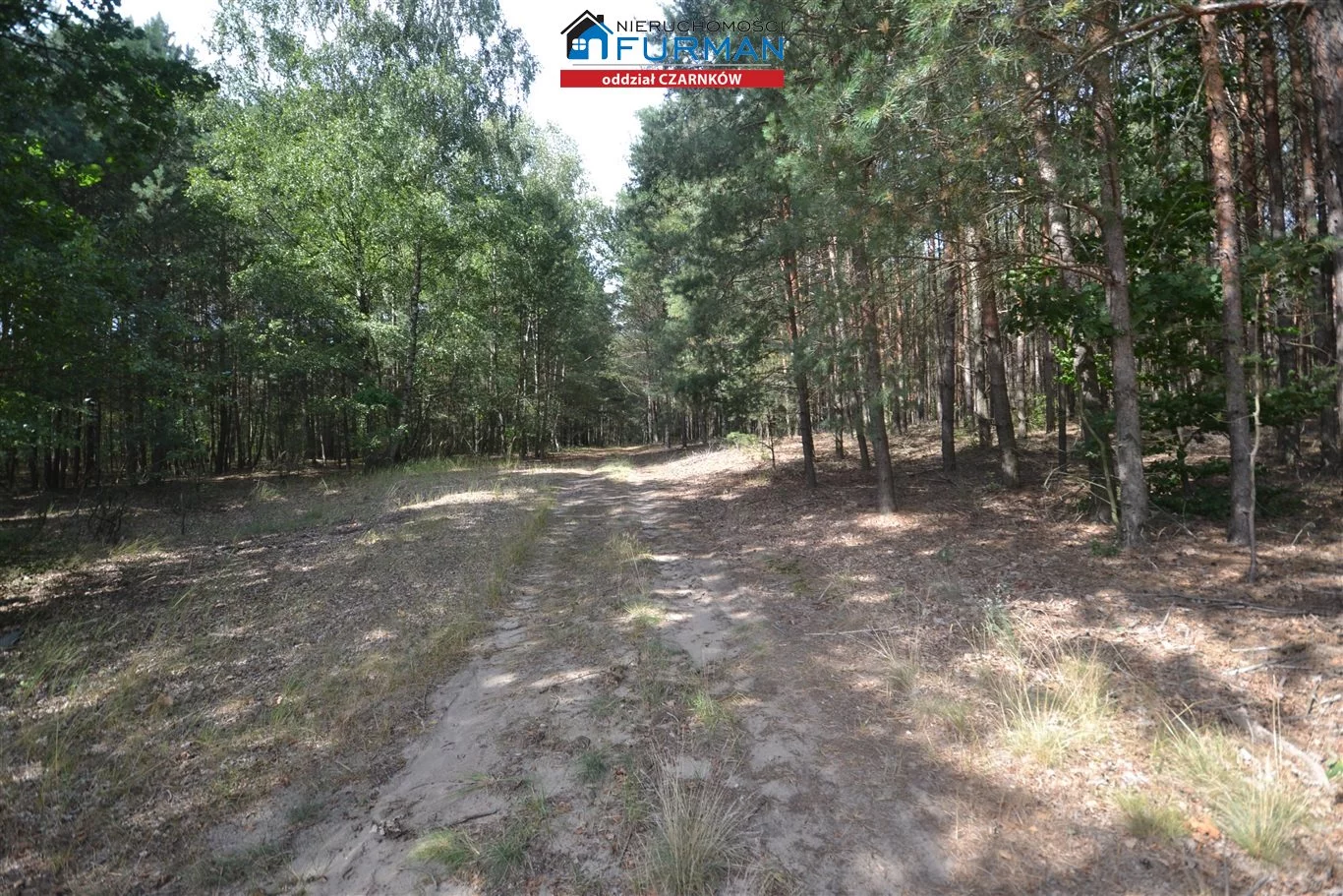Działka 15 490,00 m², oferta nr , FCZ-GS-192707-2, Lubasz