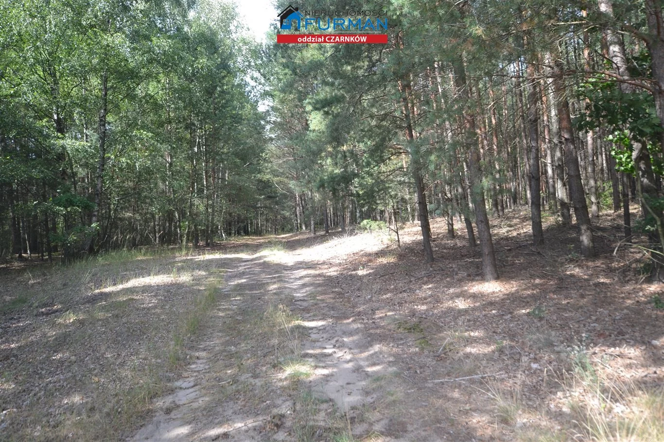 Działka 15 490,00 m², oferta nr , FCZ-GS-192707-2, Lubasz