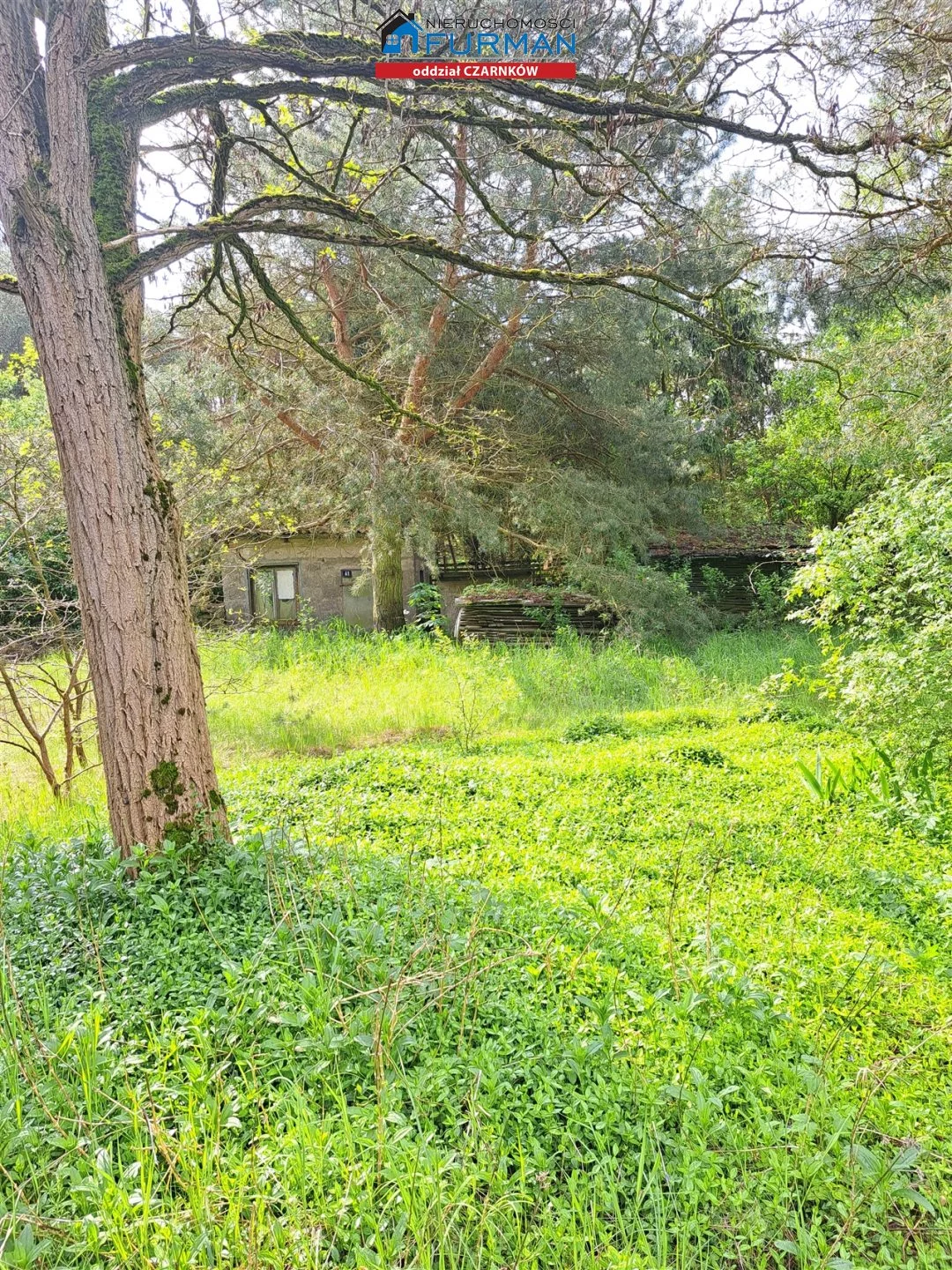 Działka 3 679,00 m², oferta nr , FCZ-GS-196675, Lubasz