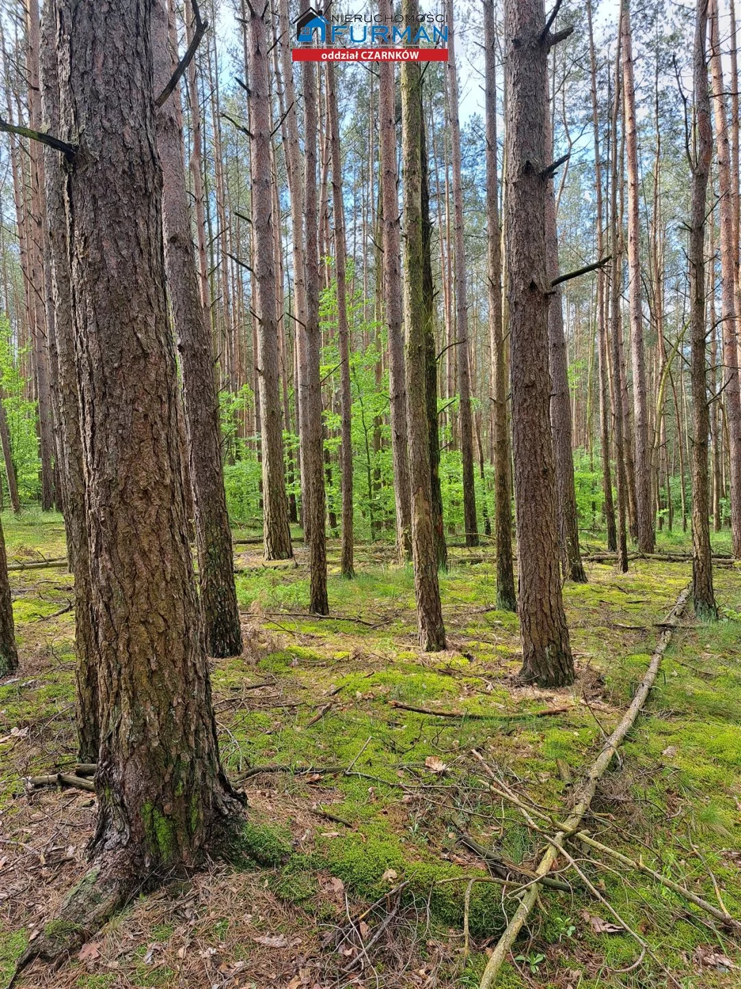 Działka 3 022,00 m², oferta nr , FCZ-GS-196674, Lubasz