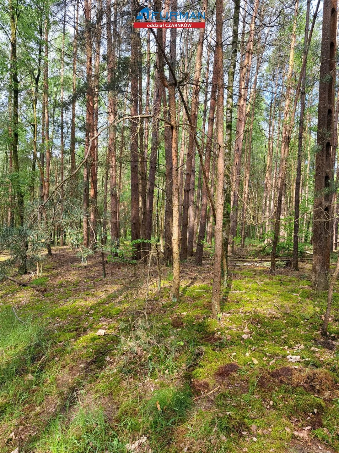 Działka 3 022,00 m², oferta nr , FCZ-GS-196674, Lubasz