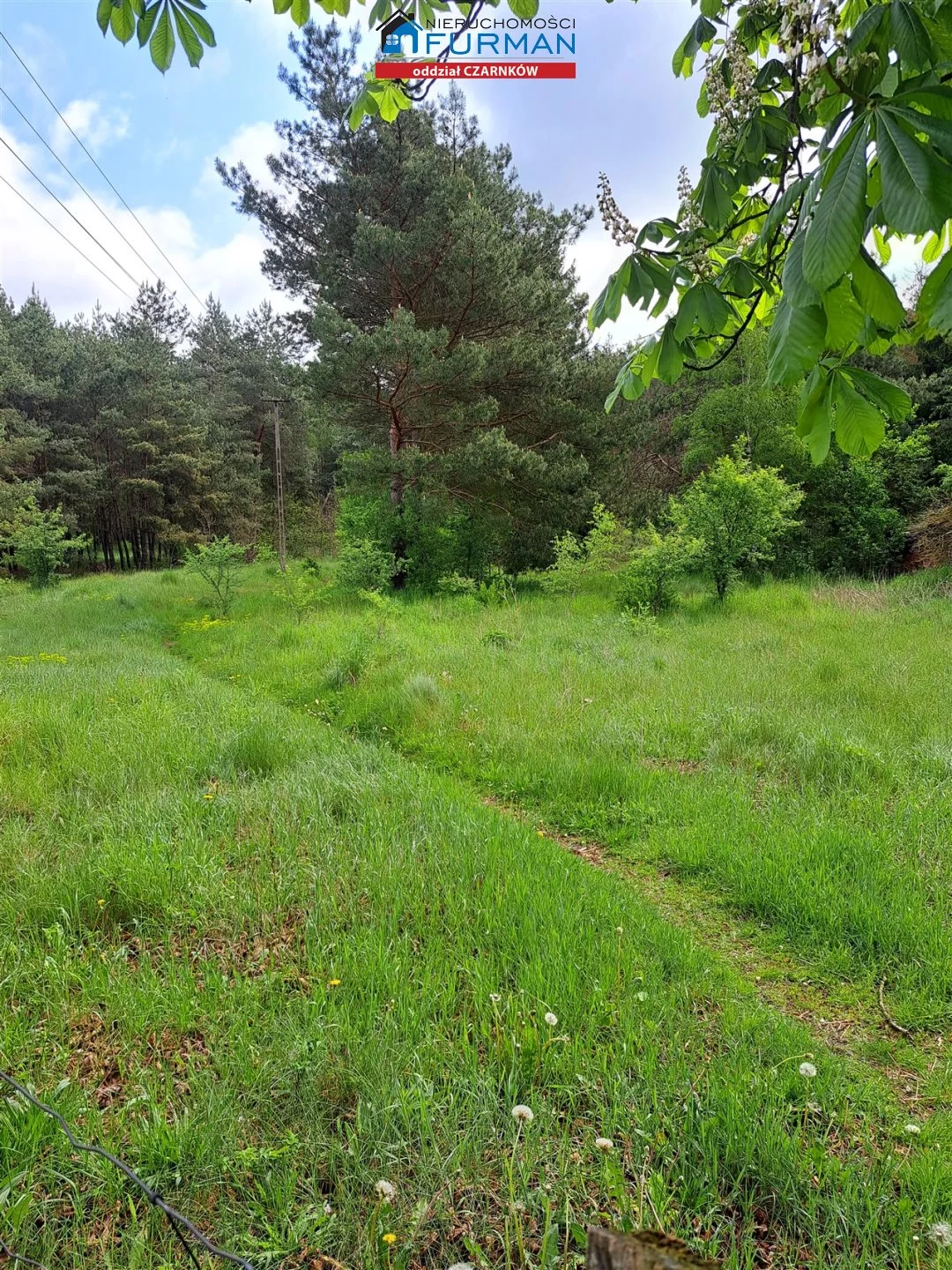 Działka 3 022,00 m², oferta nr , FCZ-GS-196674, Lubasz
