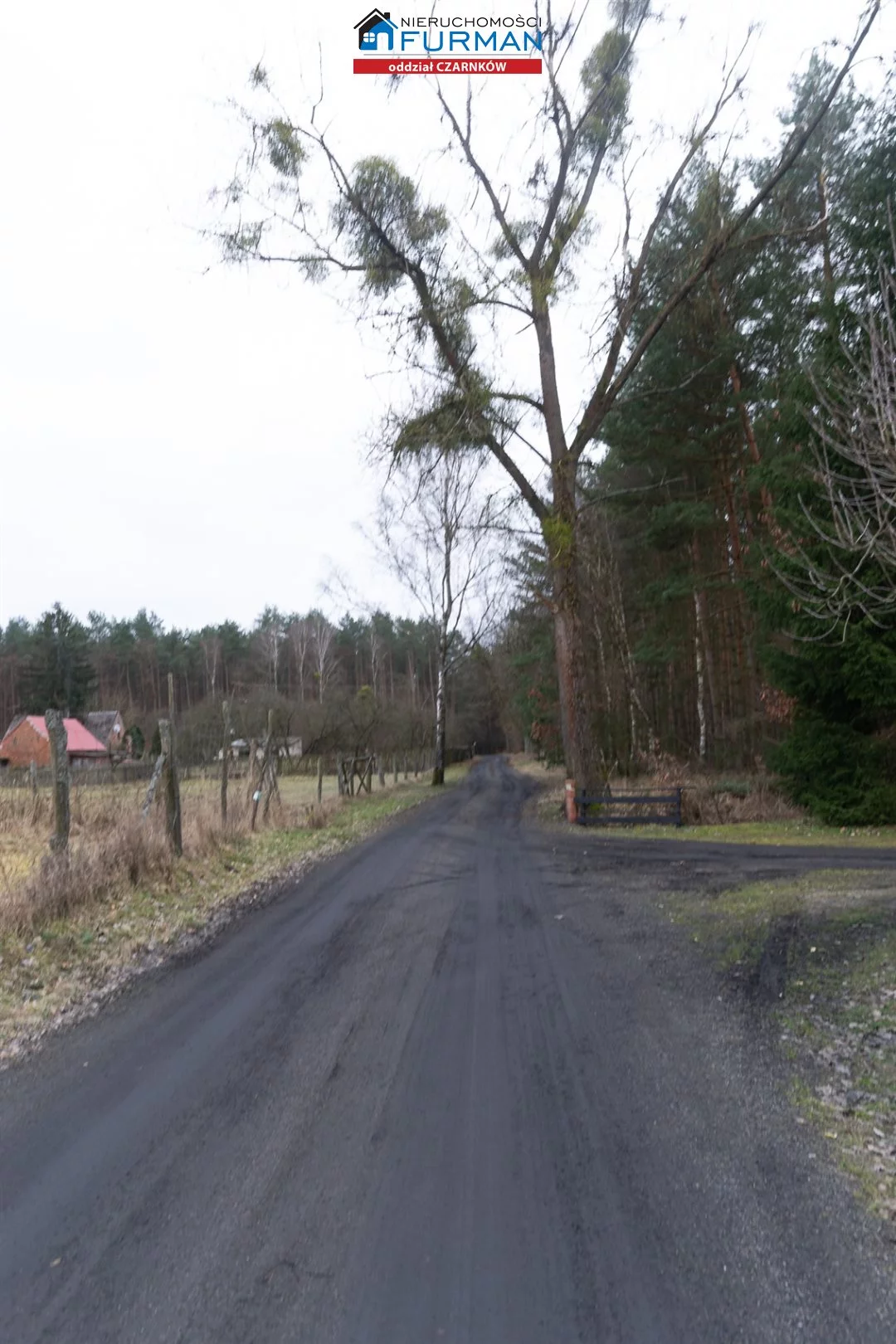 Działka 3 069,00 m², oferta nr , FCZ-GS-198077-3, Lubasz