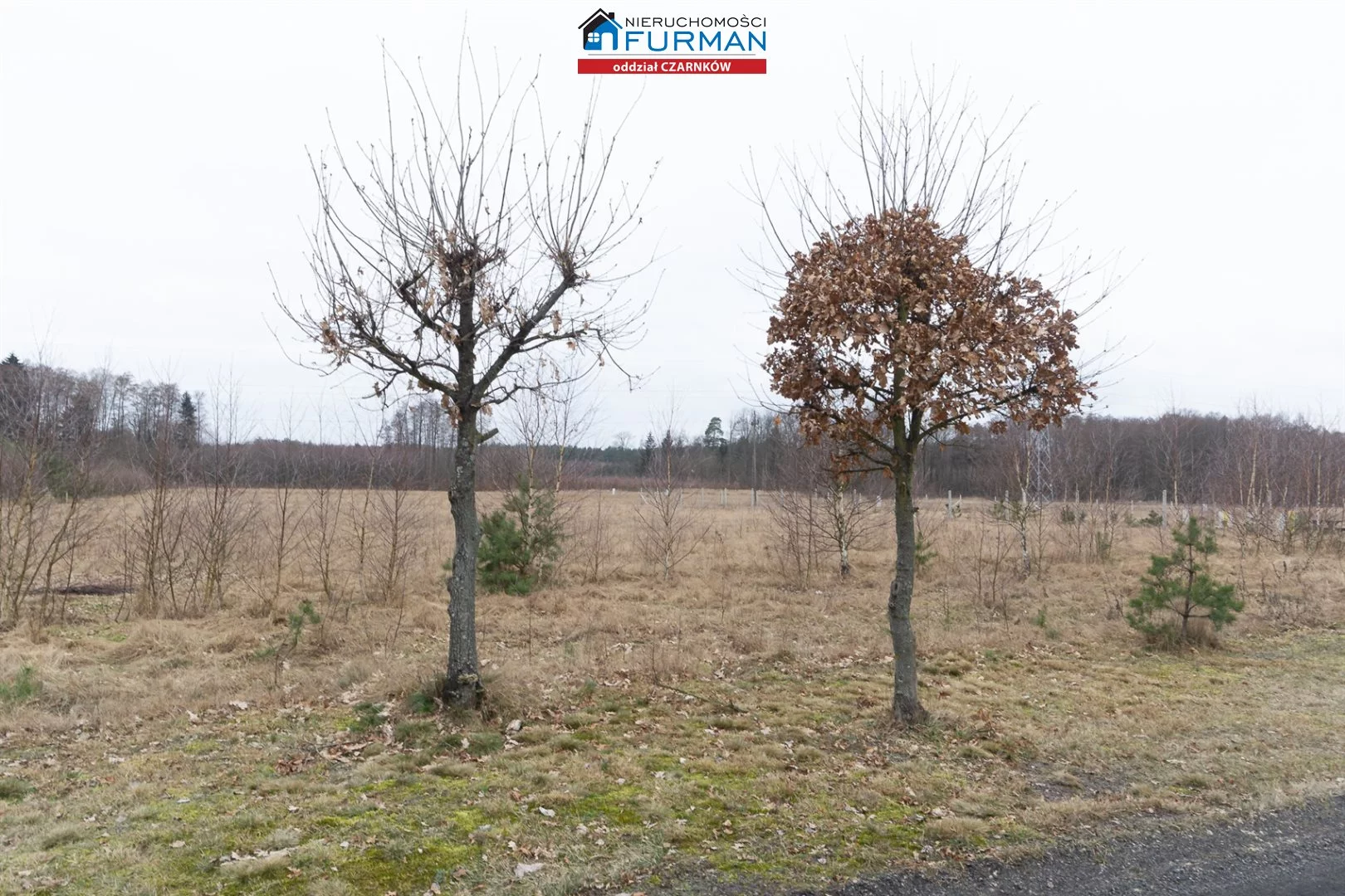 Działka 3 069,00 m², oferta nr , FCZ-GS-198077-3, Lubasz