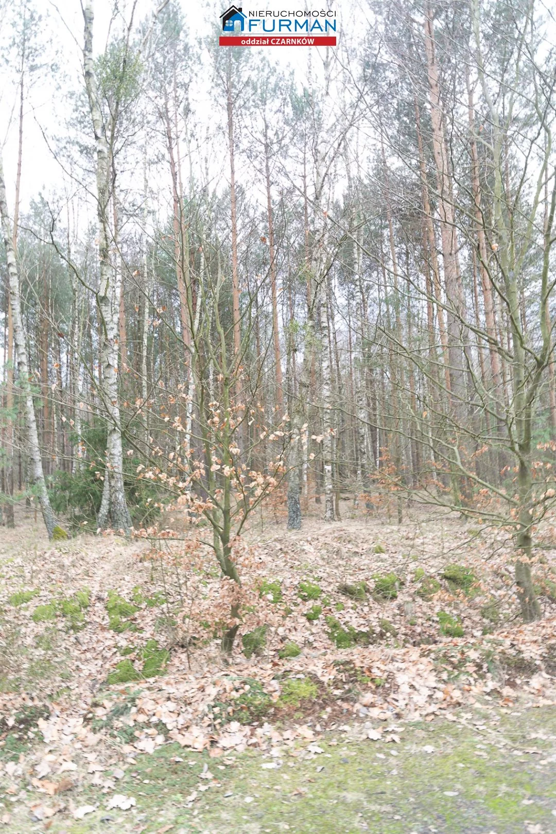 Działka 3 069,00 m², oferta nr , FCZ-GS-198077-3, Lubasz