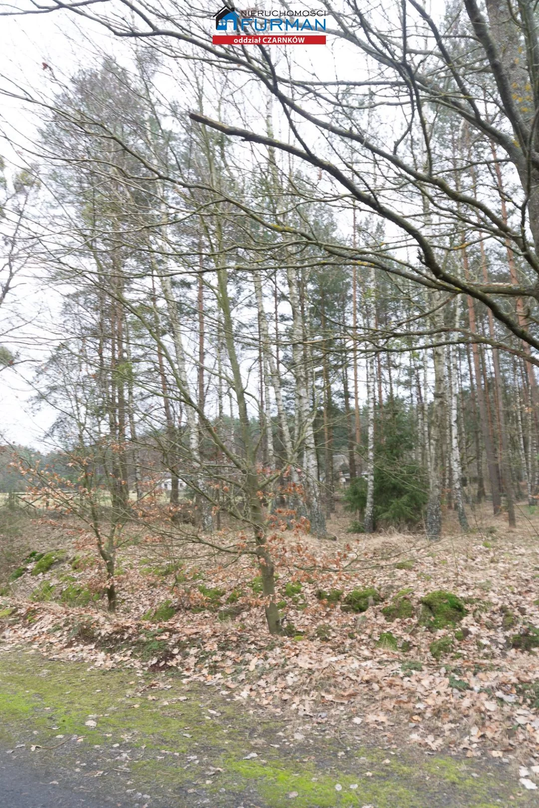 Działka 3 069,00 m², oferta nr , FCZ-GS-198077-3, Lubasz