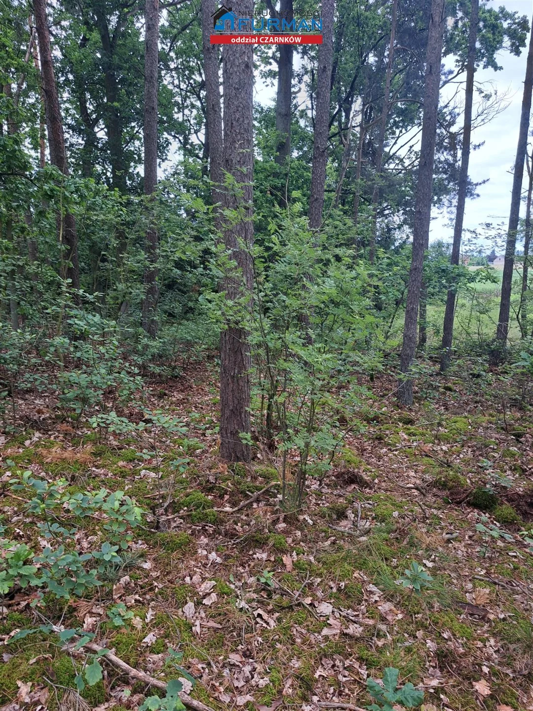 Działka 17 000,00 m², oferta nr , FCZ-GS-198318, Lubasz