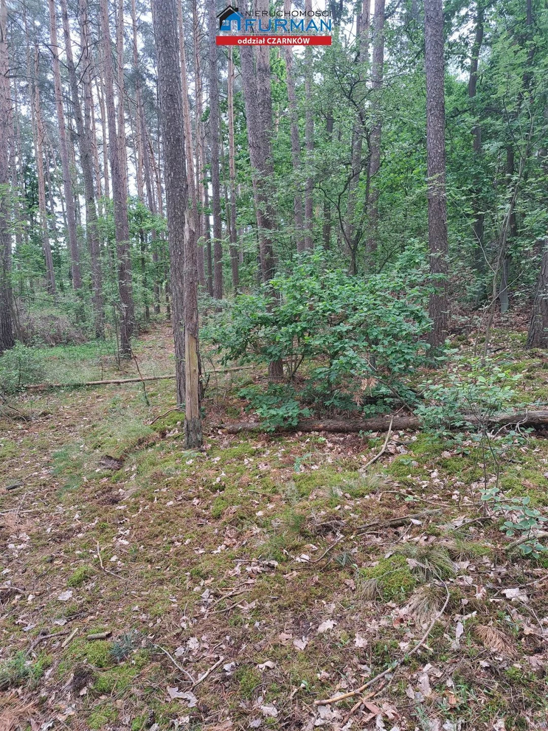 Działka 17 000,00 m², oferta nr , FCZ-GS-198318, Lubasz