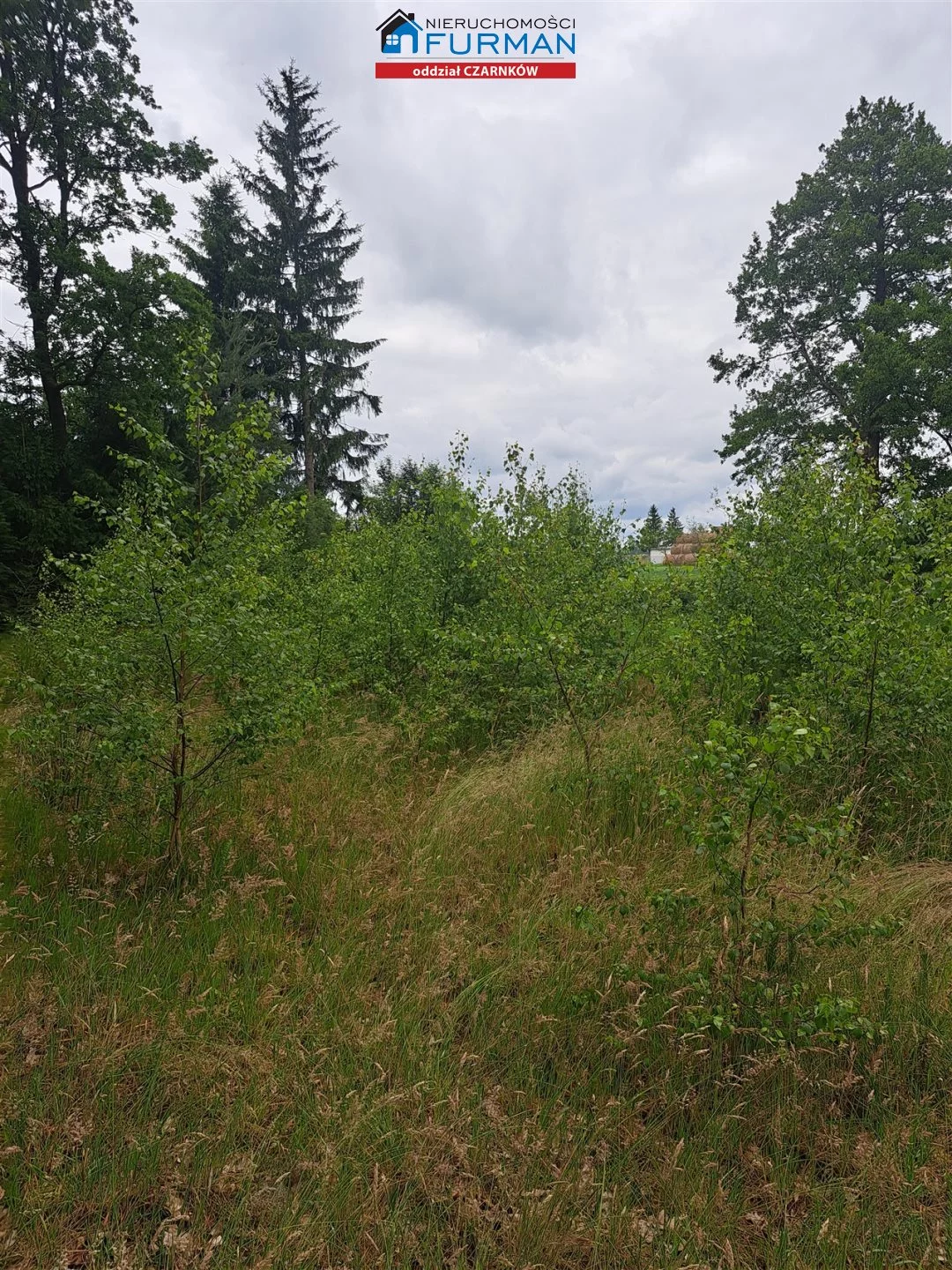Działka 17 000,00 m², oferta nr , FCZ-GS-198318, Lubasz