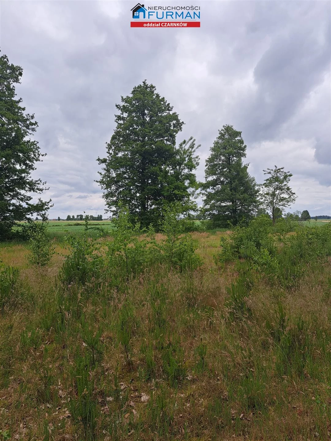 Działka 17 000,00 m², oferta nr , FCZ-GS-198318, Lubasz