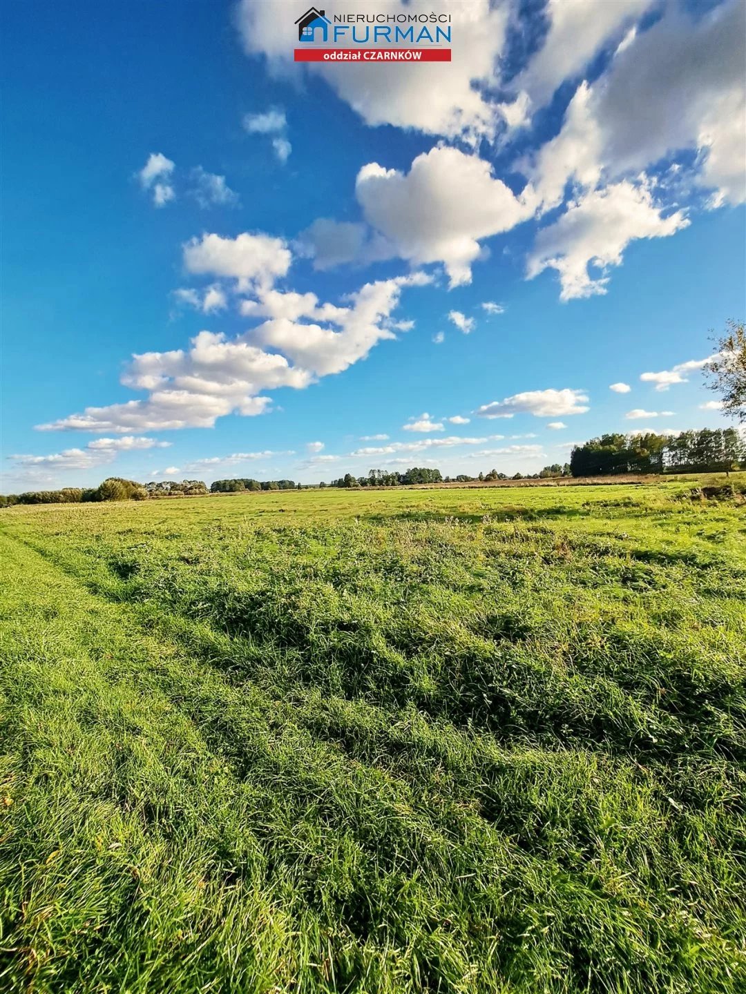 Działka 9 900,00 m², Radolin, Sprzedaż