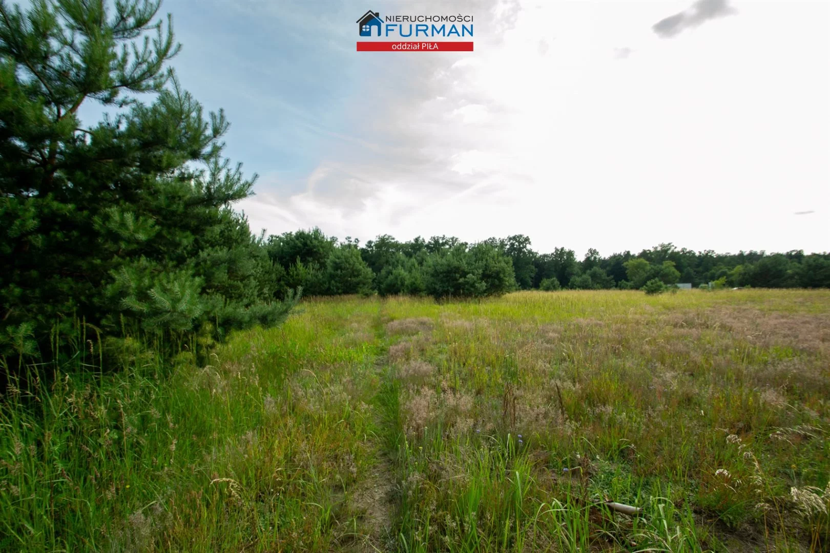 Działka 7 718,00 m², oferta nr , FRP-GS-198183, Rogoźno