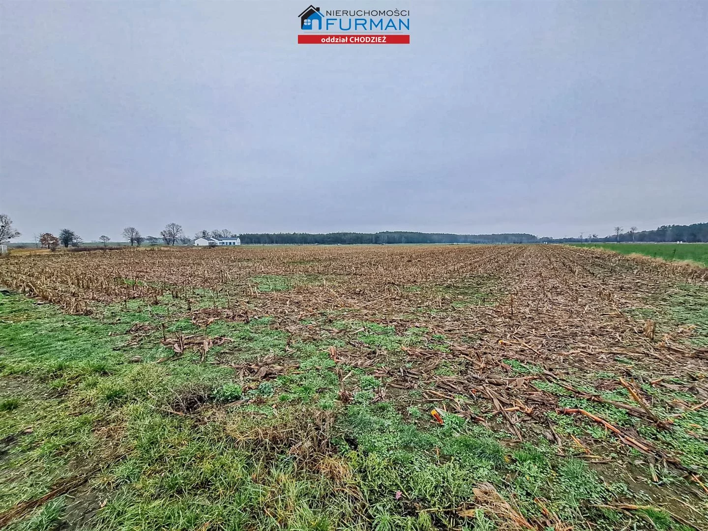Działka 900,00 m², oferta nr , FRC-GS-198191, Ryczywół