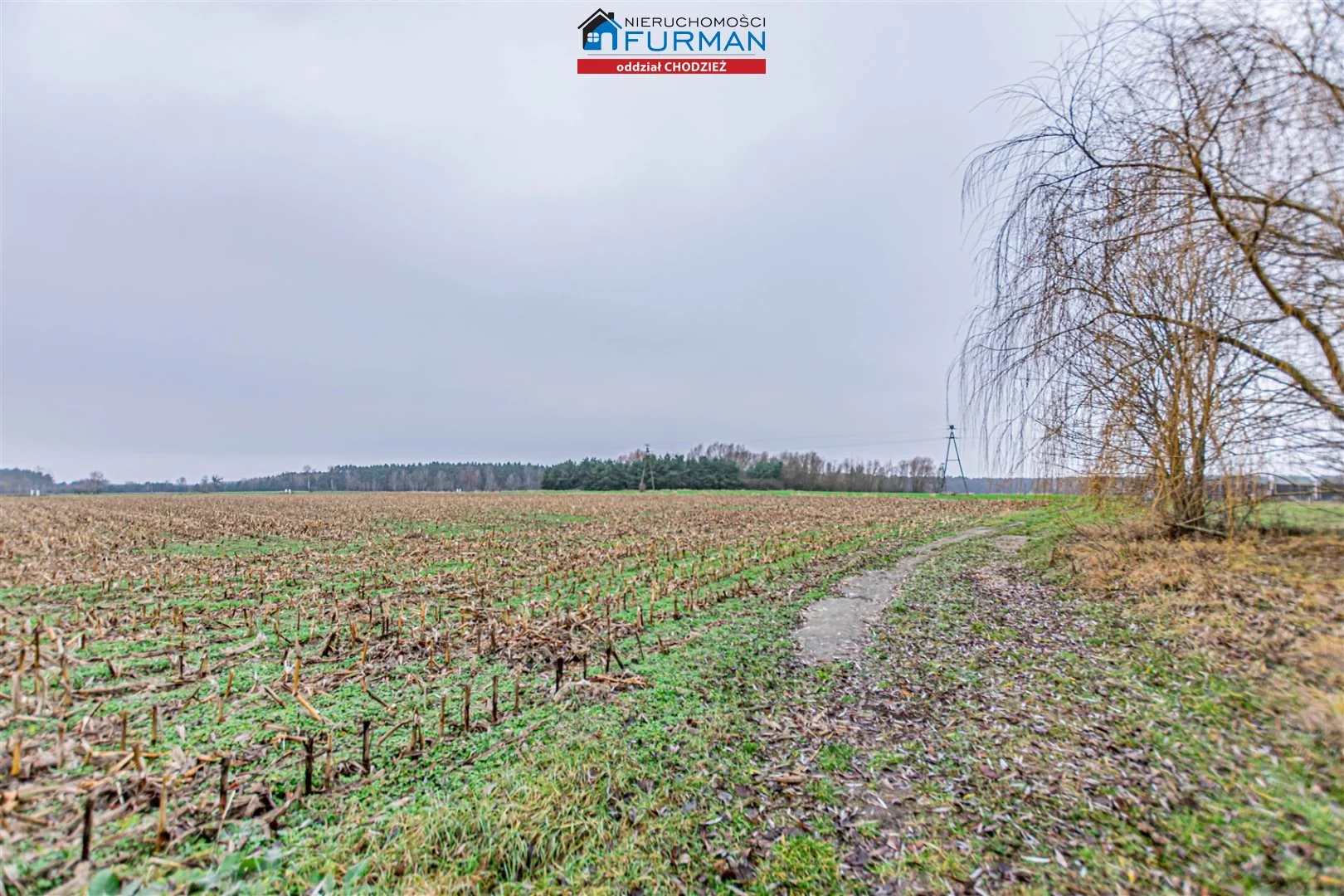 Działka 900,00 m², oferta nr , FRC-GS-198191, Ryczywół