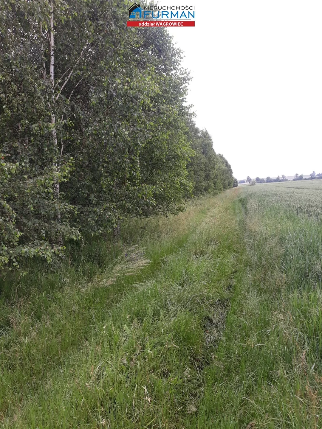 Działka 3 101,00 m², oferta nr , FWR-GS-194321-1, Skoki