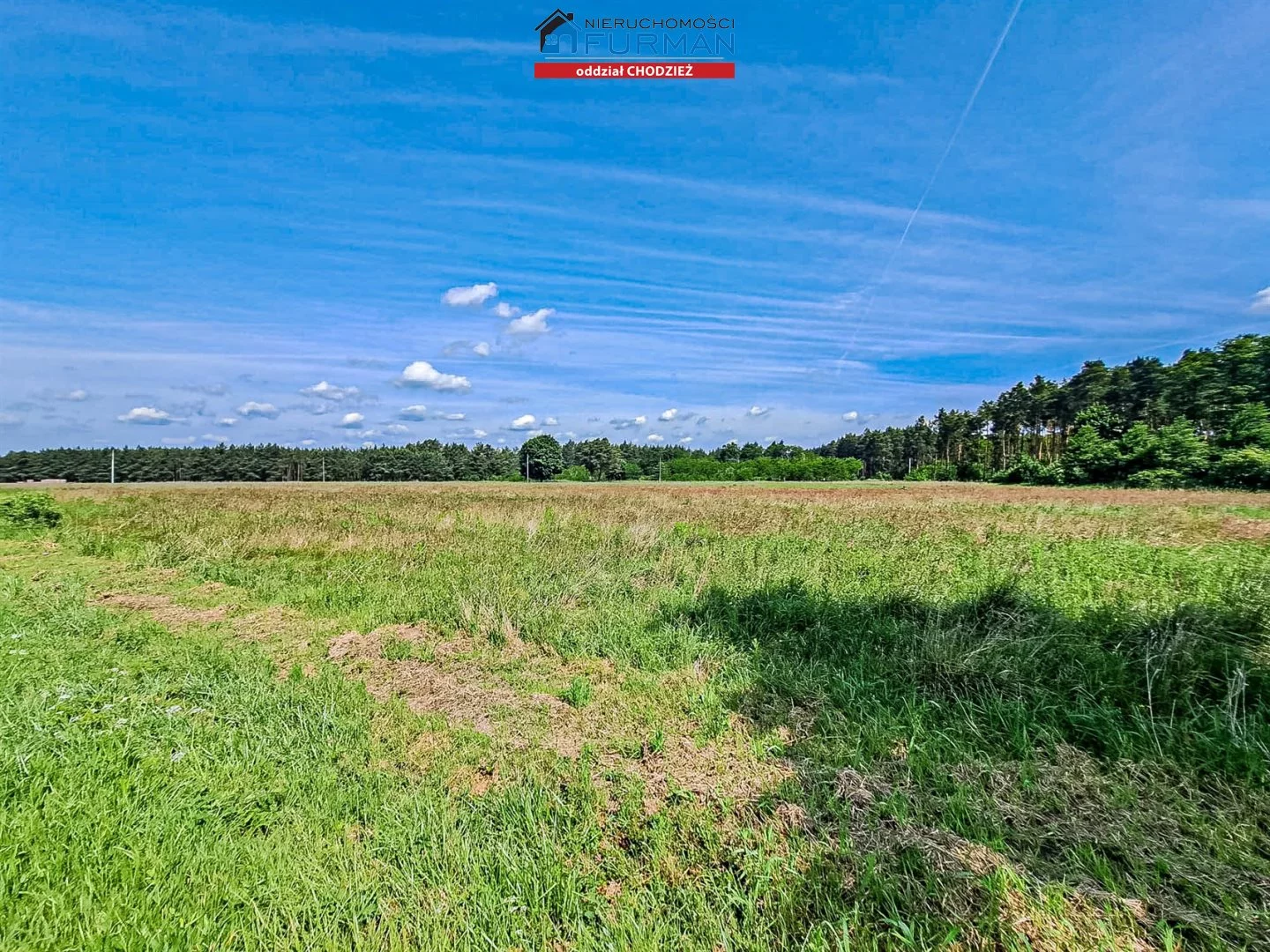 FRC-GS-189206 - zdjęcie nr 1