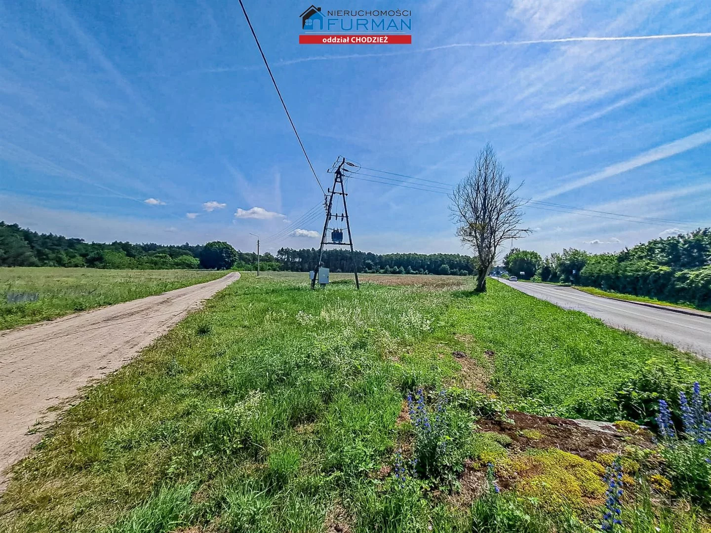 FRC-GS-189206 - zdjęcie nr 3