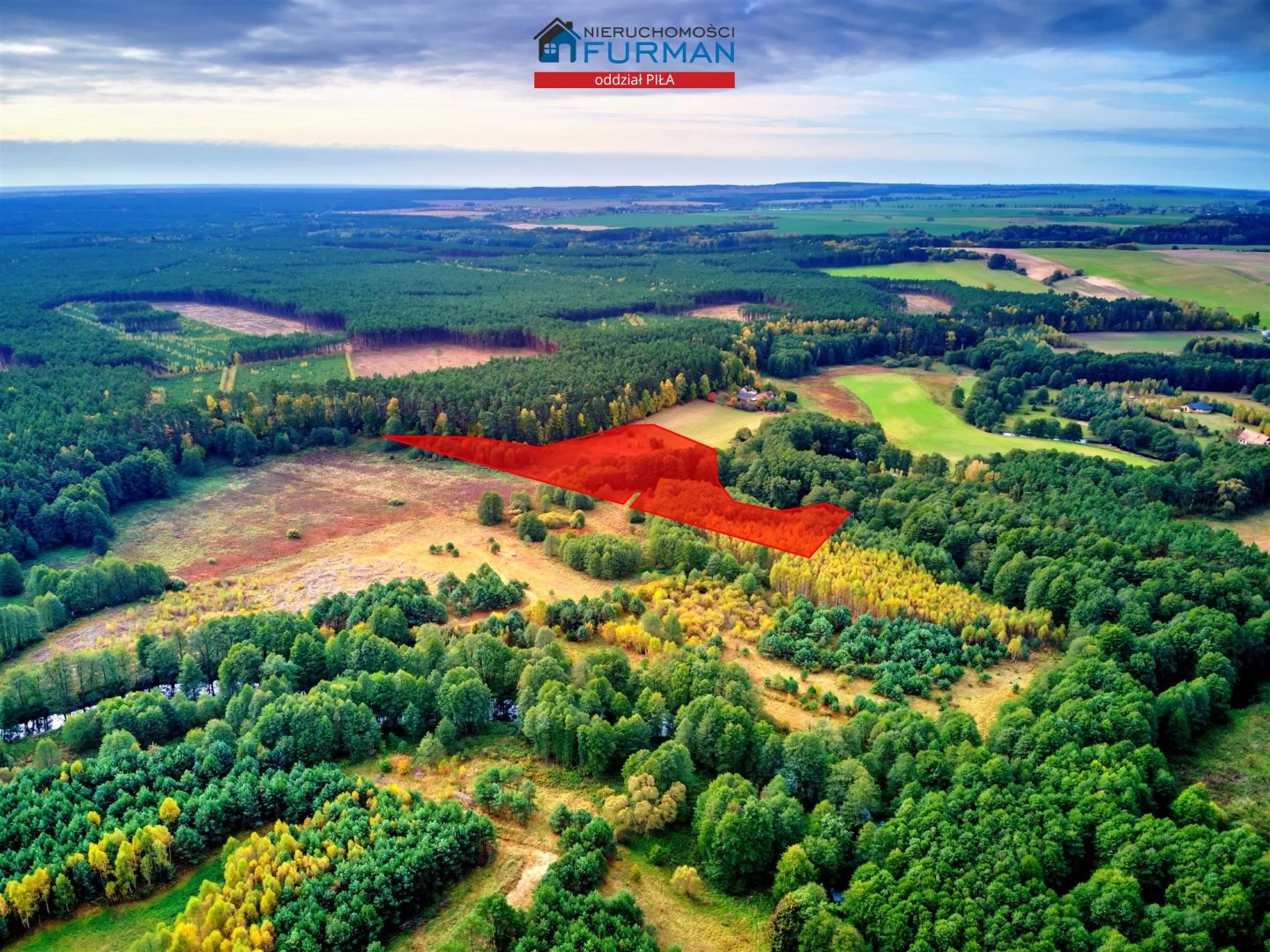 Działka 22 300,00 m², oferta nr , FRP-GS-193837, Szydłowo