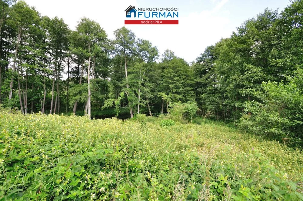 Działka 22 300,00 m², oferta nr , FRP-GS-193837, Szydłowo