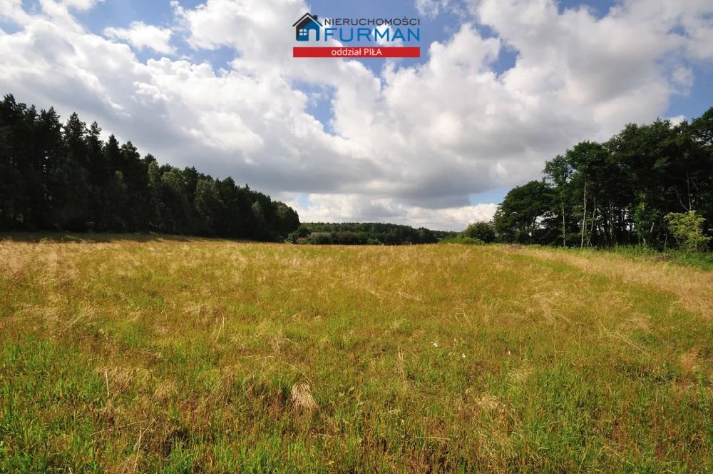 Działka 22 300,00 m², oferta nr , FRP-GS-193837, Szydłowo