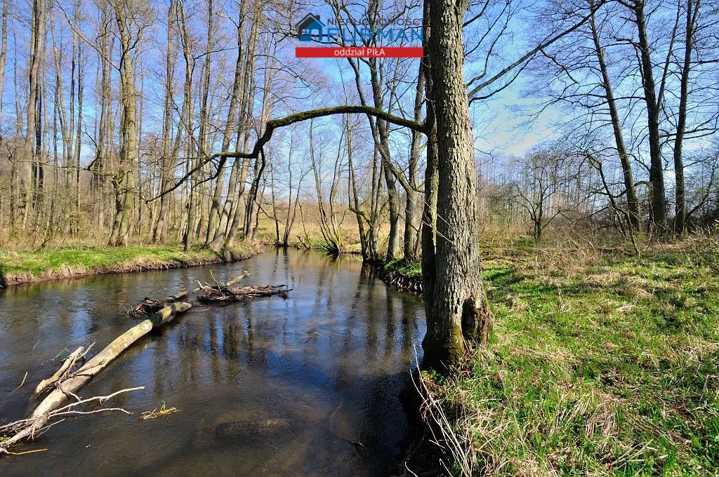 Działka 22 300,00 m², oferta nr , FRP-GS-193837, Szydłowo