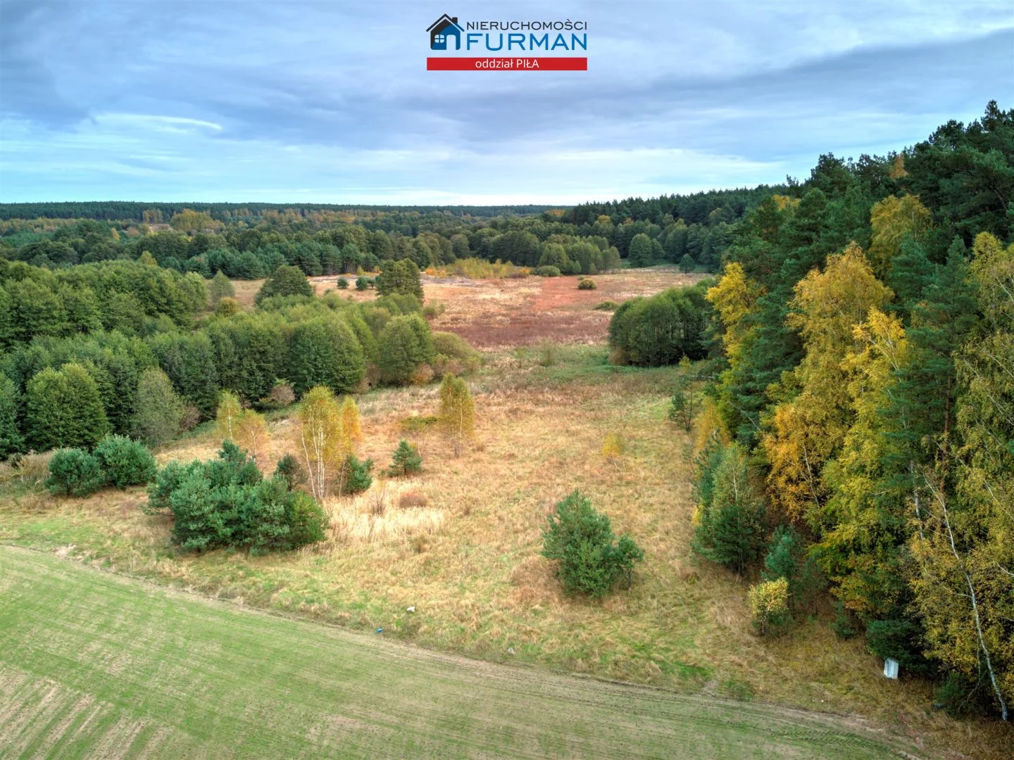 Działka 22 300,00 m², oferta nr , FRP-GS-193837, Szydłowo