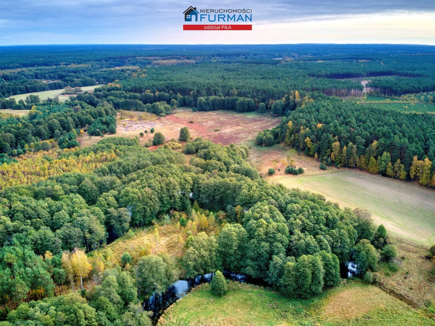Działka 22 300,00 m², oferta nr , FRP-GS-193837, Szydłowo